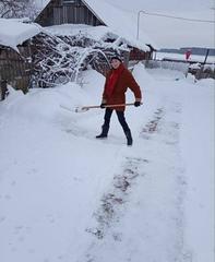 Новости и события ТЦСОН